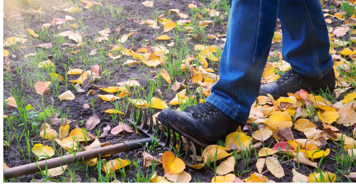 Man standing on rake